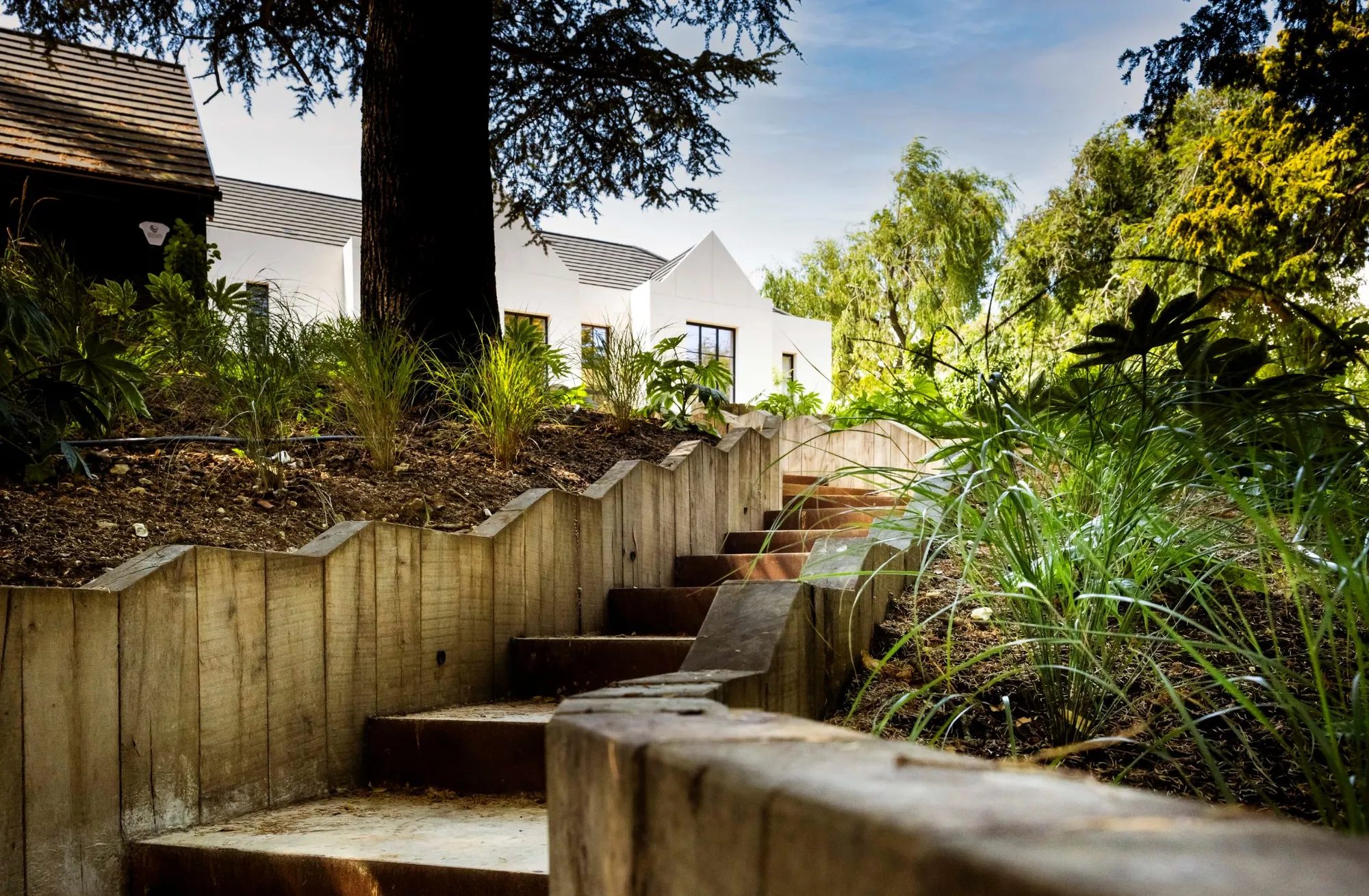 Finished oak sleeper steps with metal-clad risers climbing a planted hillside garden in Brighton and Hove